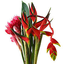 wholesale tropical bouquets Miami