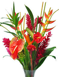 wholesale tropical bouquets miami